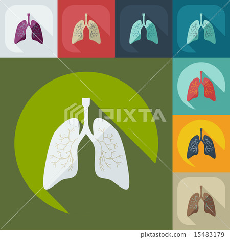Flat modern design with shadow icons lungs 15483179