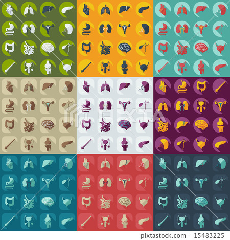 Flat concept, set modern design with shadow human organs Flat concept, set modern design with shadow human organs 15483225