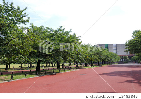 Promenade of Expo Memorial Park 15483843