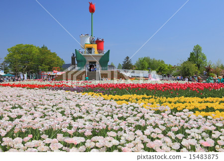 礪波鬱金香公園 礪波鬱金香公園 15483875