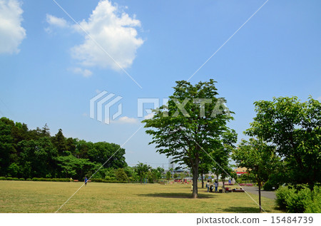 Genkaida Park 15484739