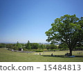Fresh green and blue sky 15484813