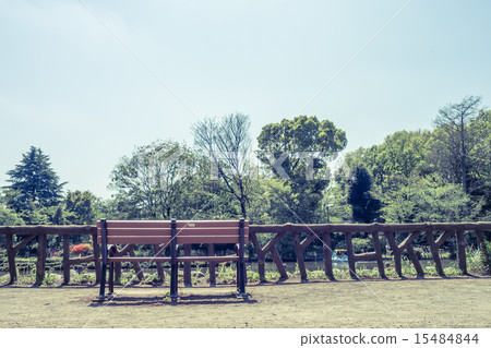 背景材料景觀與板凳 15484844