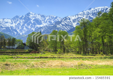 Hakuba Hatateyama 15485591