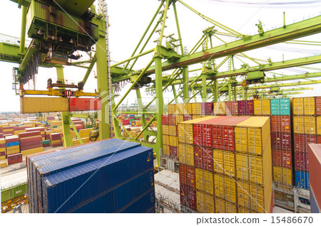 container operation in port with cranes and gantry 15486670