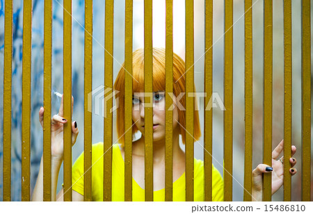 girl in golden cage 15486810