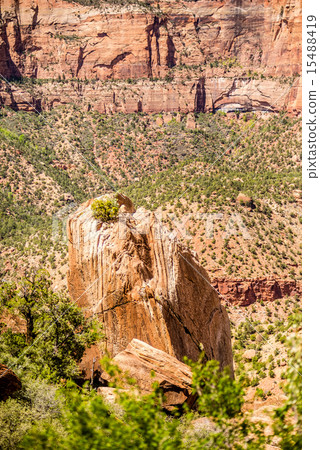 Zion Canyon National Park Utah Zion Canyon National Park Utah 15488419