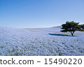 Nemohora no Oka 15490220