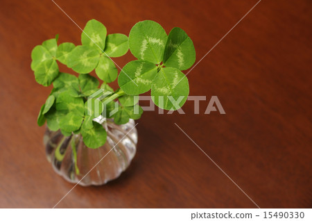 Lots of lucky four leaf clover 15490330