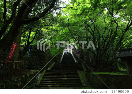 新鮮的綠色竹寺廟寺廟 新鮮的綠色竹寺廟寺廟 15490609
