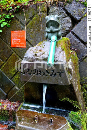 Numata city, Gunma prefecture · Tubara (Tanbara) spring water of the beech in the plateau 15490714