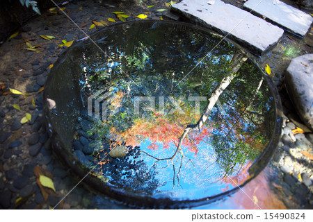 秋葉在Kiyomasa井反射了 秋葉在Kiyomasa井反射了 15490824