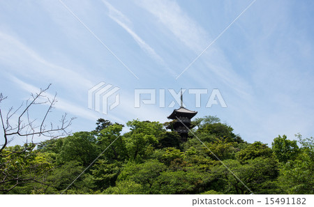 Sankeien Sankeien 15491182