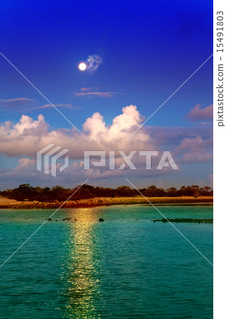Night. moon over the sea and reflection in water 15491803