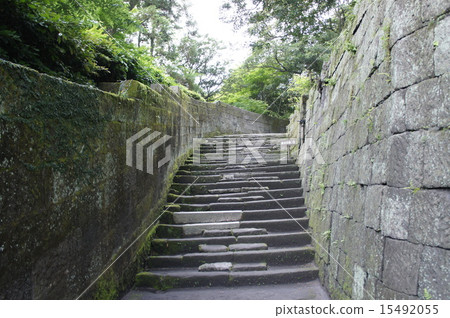 鹿兒島森佐 15492055