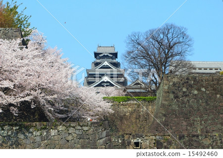 春天的熊本城堡 春天的熊本城堡 15492460