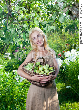 The young attractive woman with a basket of apples 15492477