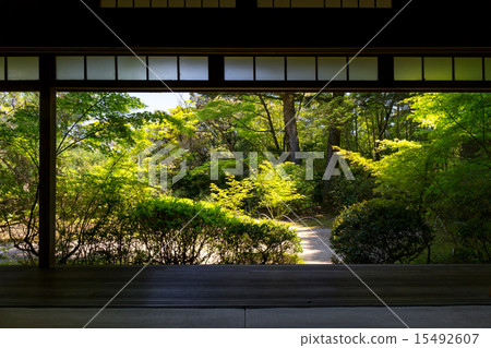 Fresh green Takiguchi Temple 15492607