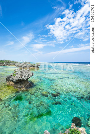 The sea of Okinawa 15492701