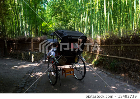 新鮮的綠色竹林 15492739