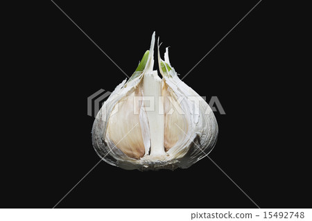 garlic  15492748