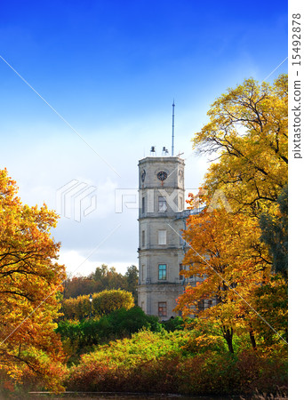 Gatchina, bright autumn tree in park near a palace Gatchina, bright autumn tree in park near a palace 15492878