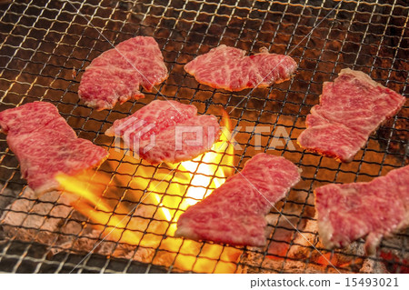  Grilled meat 15493021