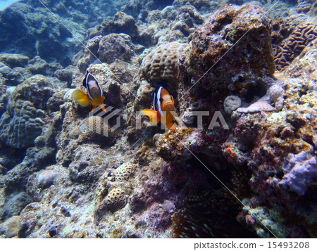 Okinawa Prefecture Cape Eiyoda Okinawa Prefecture Cape Eiyoda 15493208