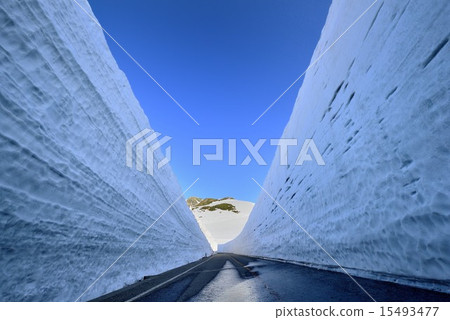 大谷雪 大谷雪 15493477