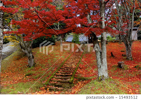 Tsuchi神社在秋天 15493512