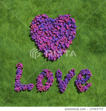 purple love and heart create by flowers with grass 15493737