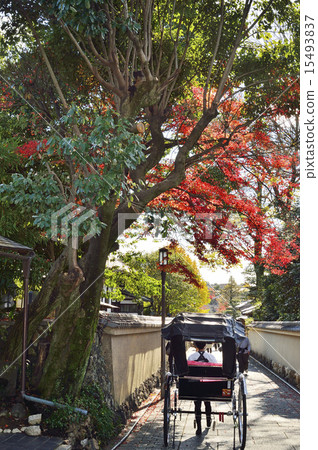 Nane no way autumn rickshaw 15493837