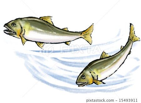 阿玉在溪流中 15493911