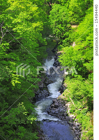 夏天中津川谷 15494440