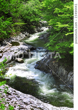 Summer Nakatsugawa Valley 15494441
