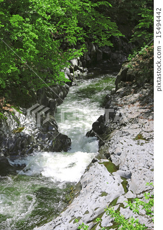 Summer Nakatsugawa Valley 15494442