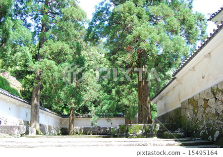 Fengcheng 100 castle Fengcheng 100 castle 15495164