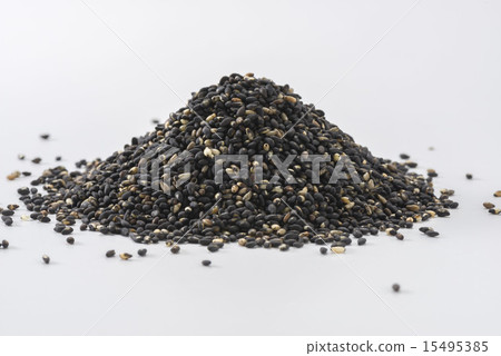 sesame sesame 15495385