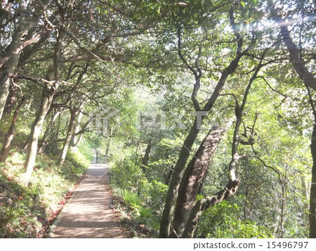 風景 風景 15496797