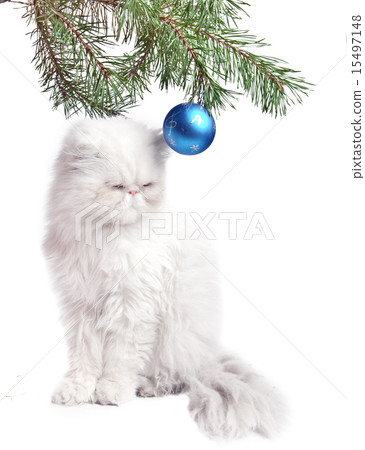 New Year's picture - a branch with New Year's ball 15497148