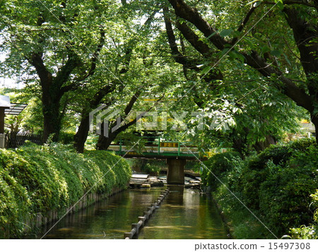 新鮮的綠色2區域水 15497308