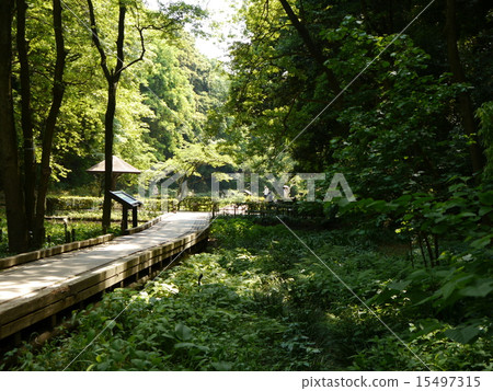 Higashi Takane Forest Park (50 Kanagawa scenic spots) Higashi Takane Forest Park (50 Kanagawa scenic spots) 15497315