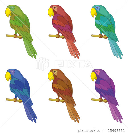 Parrots on a pole, set 15497331