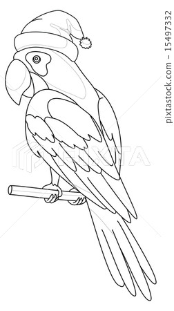 Parrot Santa Claus, contours 15497332