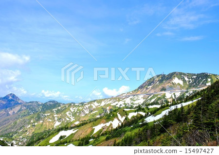 Spring Shiga Kusatsu road (5) 15497427