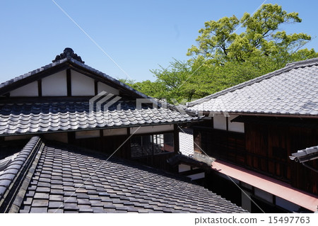 Old private house roof 15497763