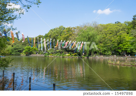 Fresh green Zenfukuji Park 15497898