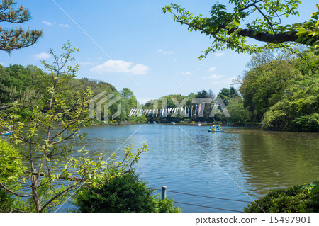 新鮮的綠色Zenfukuji公園 15497901