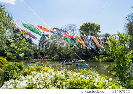 Zenpukuji公園的鯉魚墓 15497903