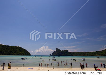 泰國披披島海灘 泰國披披島海灘 15497909